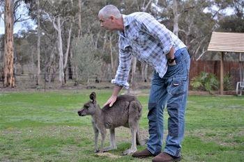 Stawell Holiday Cottages エクステリア 写真